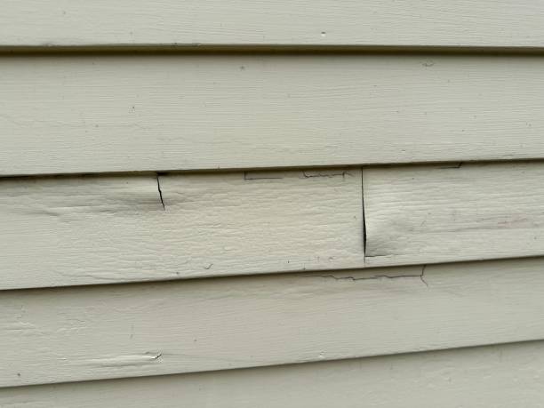 Best Siding for Multi-Family Homes  in Lineville, AL